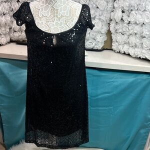 Dressbarn Black Lace Dress with Sequin Accents